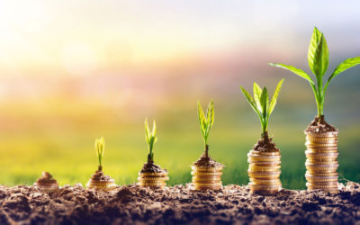 EU-Greenbonds: Einheitliches Grün?